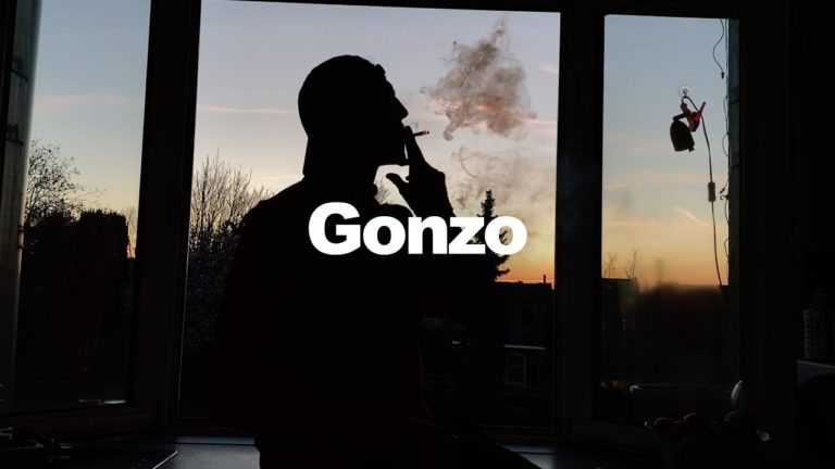 Roméo Elvis – Gonzo (extrait)