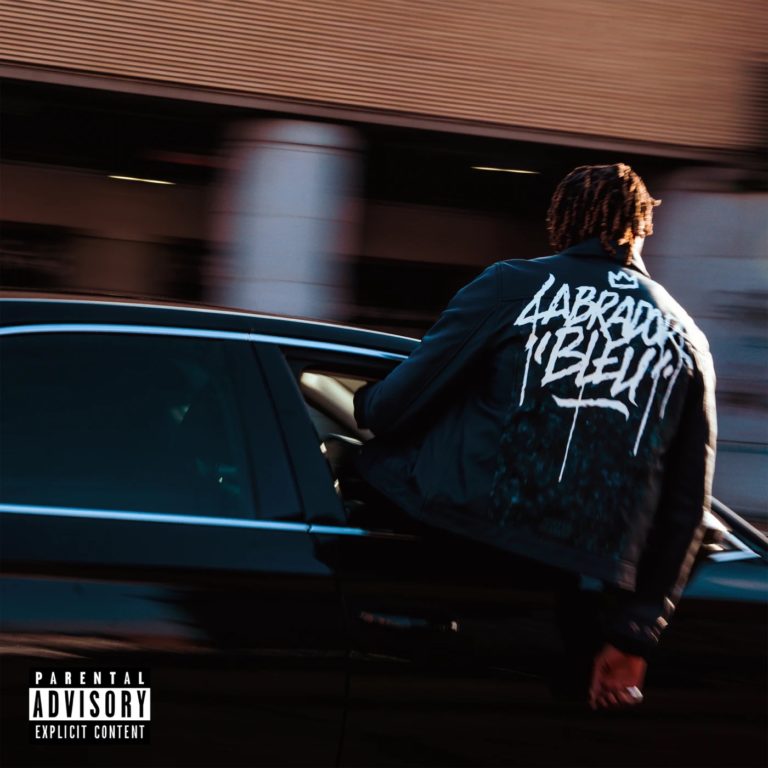 Isha : Labrador bleu, une photo triste